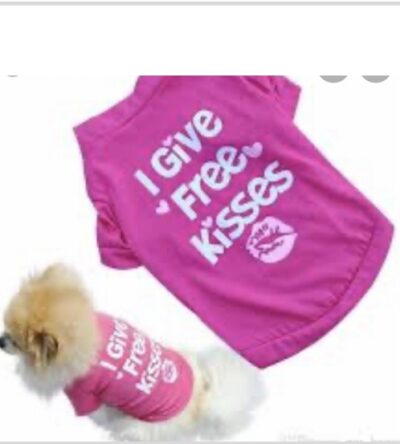 Dog T Shirt No 5 (16 Inch )