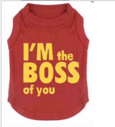 Dog T Shirt No 8 (22 Inch )