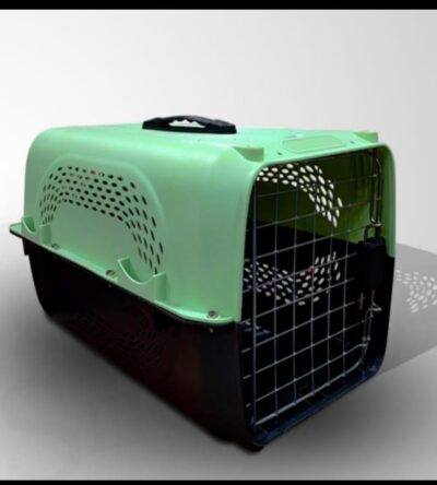 Goodies Stick Chlorophyll 125 Gm