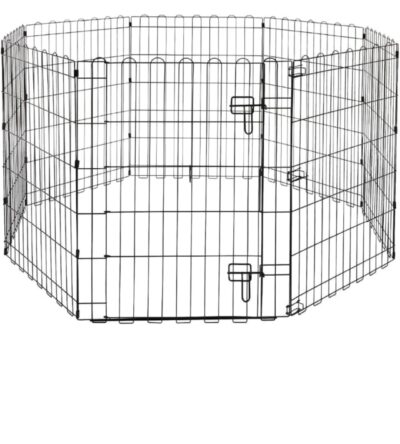 Army Padad Body Belt 1 Inch