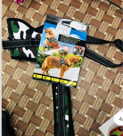 G S D Dog Chain No 4