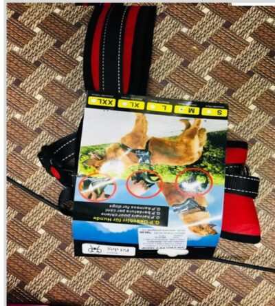 Heavy Body Belt Medium