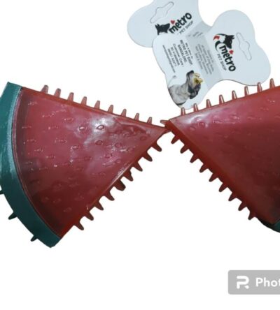 Sound Watermelon Toy