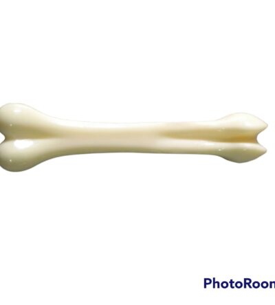 P.p Body Belt 1.1/4inch