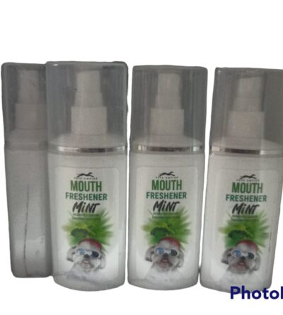 Mouth Freshener Mint Flavour