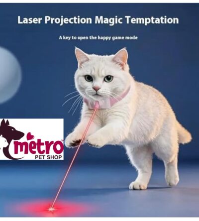 Laser Light Cat